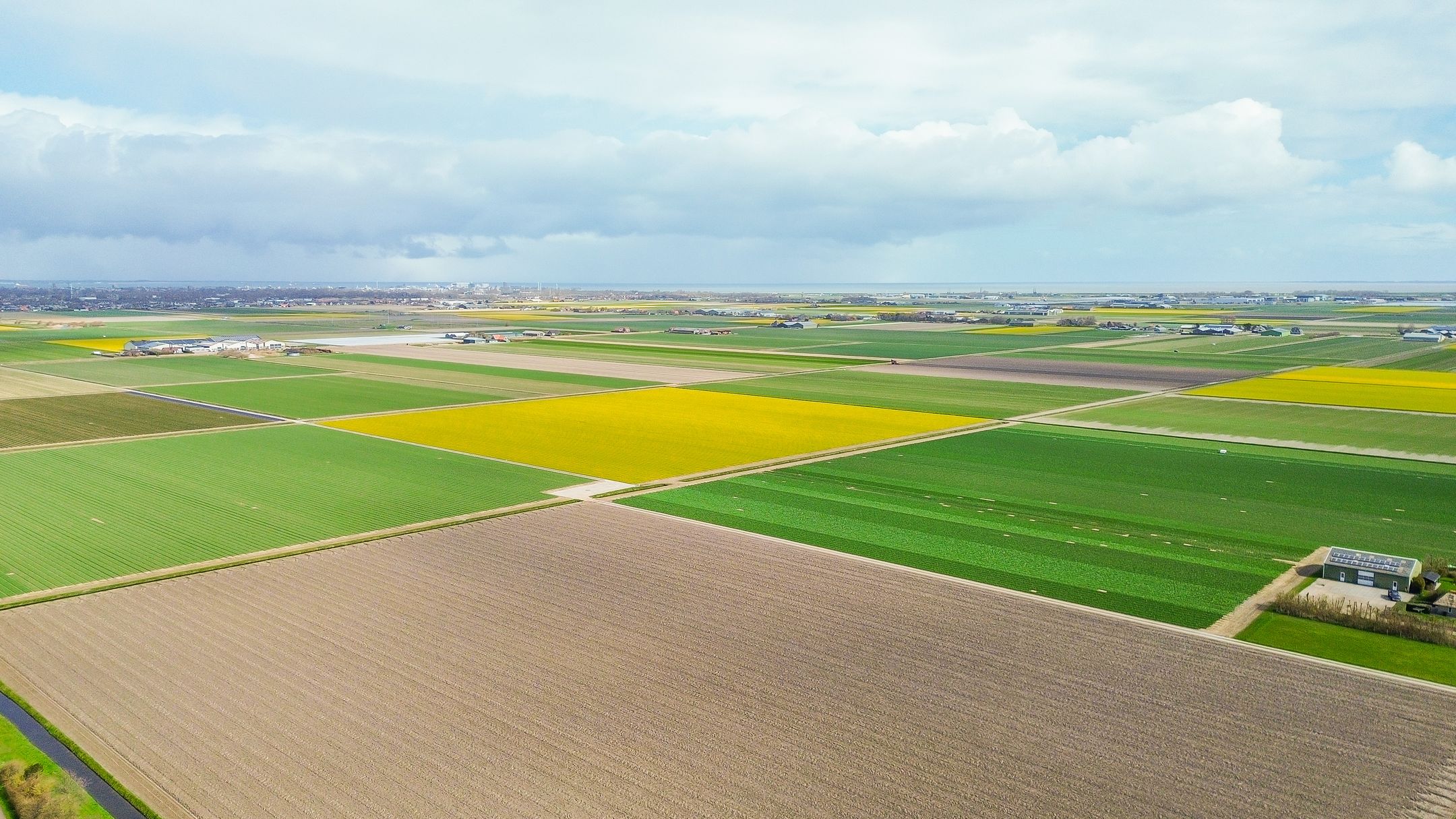 Foto 30 van Watermunt 19