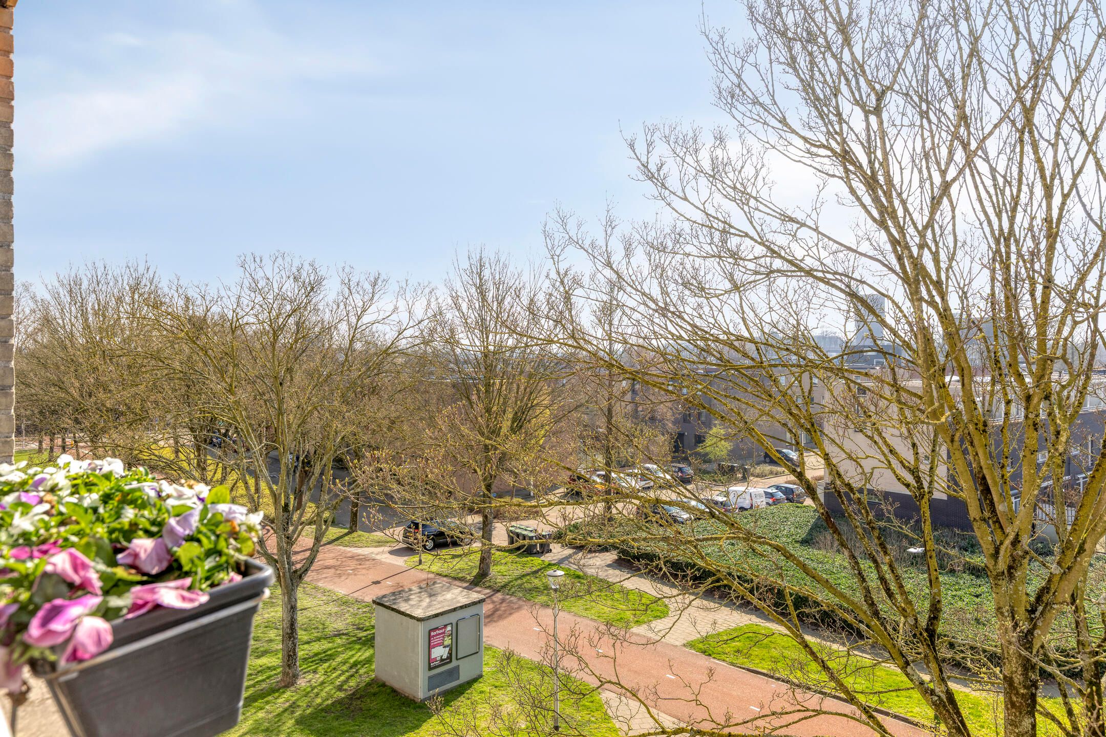 Photo 15 of Boksdoornerf 140