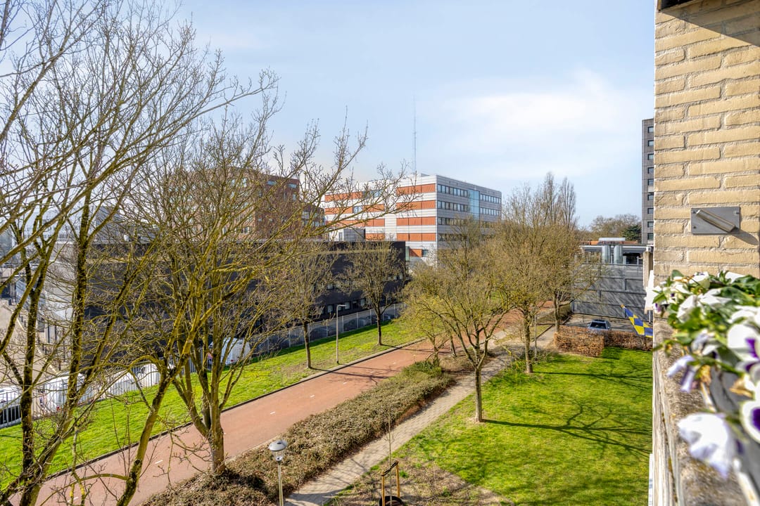 Photo 16 of Boksdoornerf 140