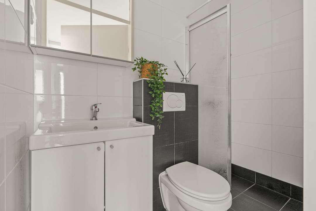 Photo 28 of Zwaardenburg 52