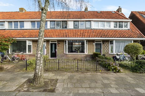 Bijenhofstraat thumbnail