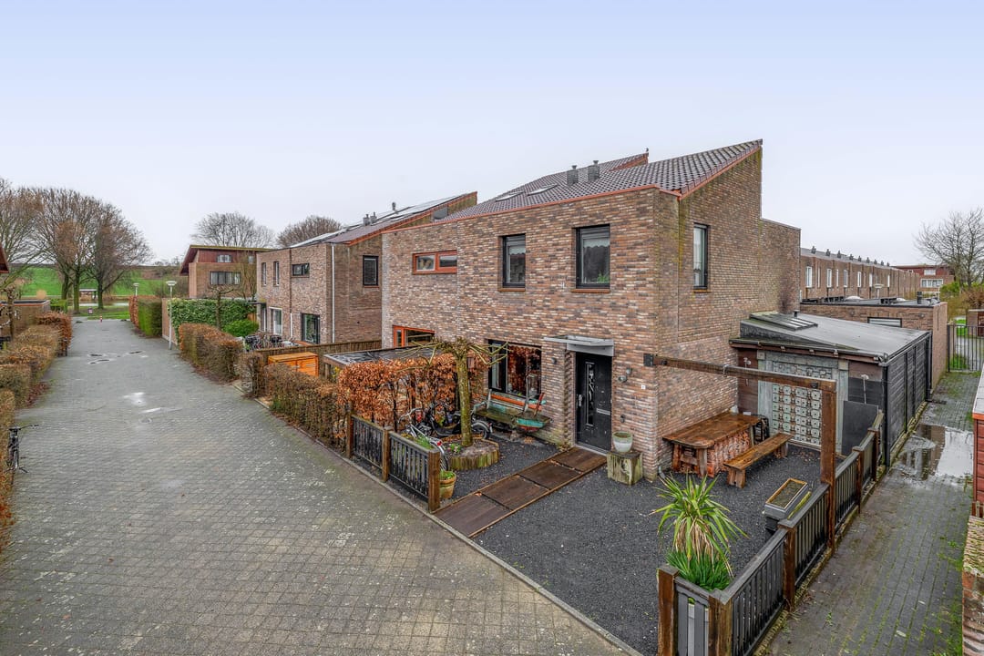 Foto 26 van Akkerdistel 1