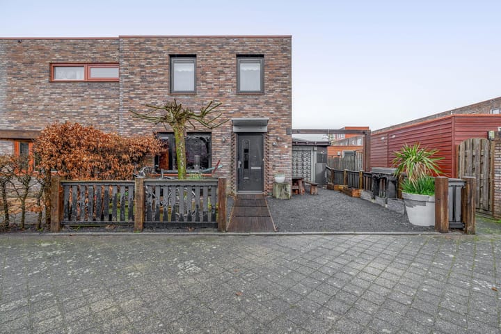 Photo 5 of Akkerdistel 1