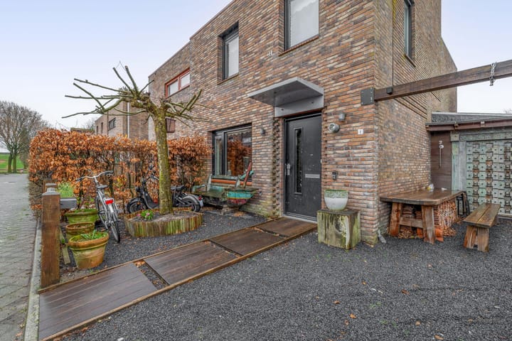 Photo 4 of Akkerdistel 1