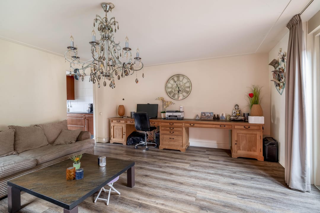 Foto 7 van Akkerdistel 1