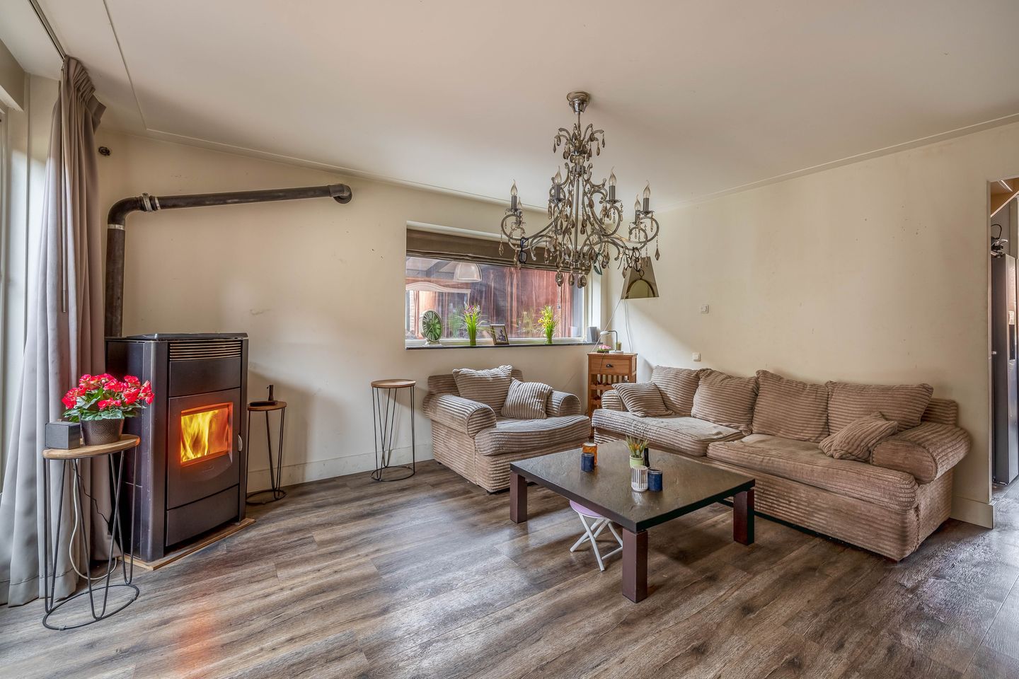 Foto 10 van Akkerdistel 1