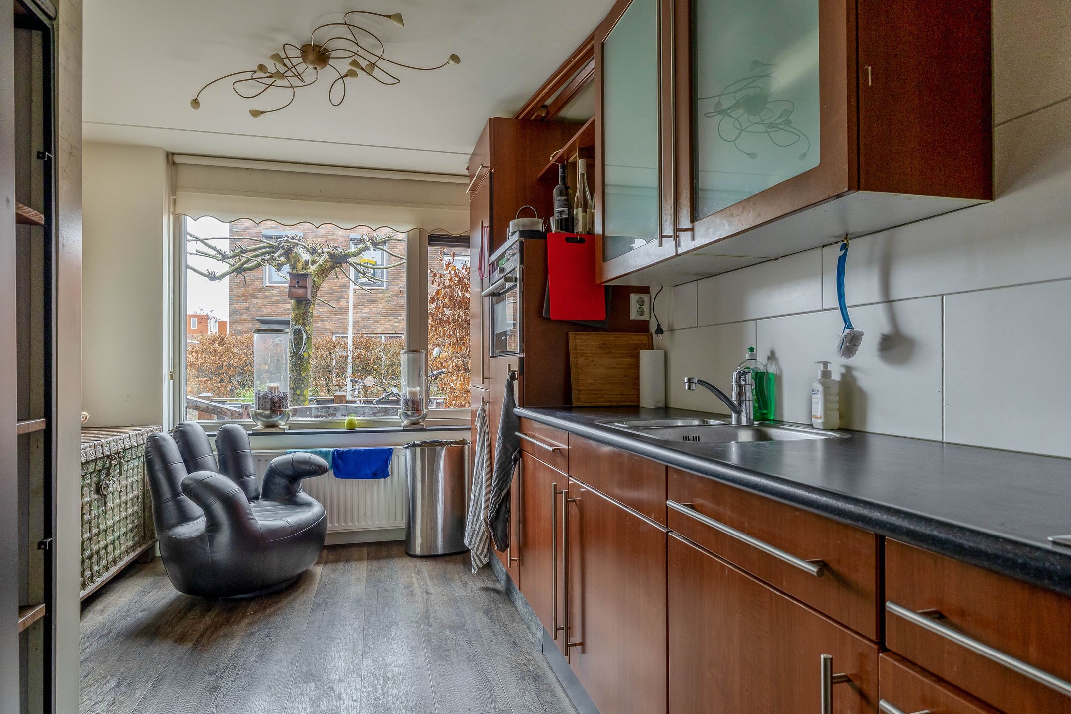 Foto 9 van Akkerdistel 1