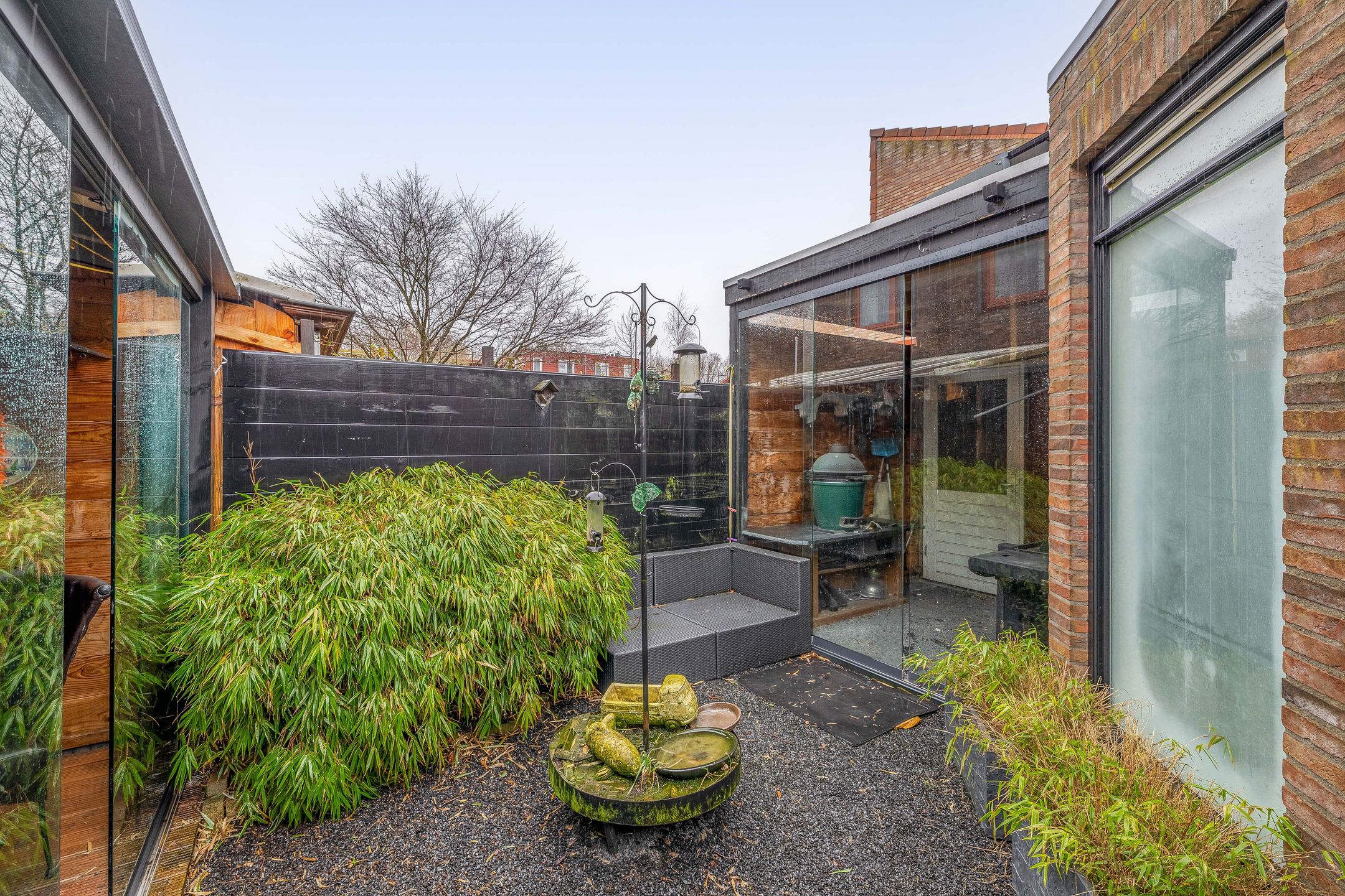 Foto 18 van Akkerdistel 1