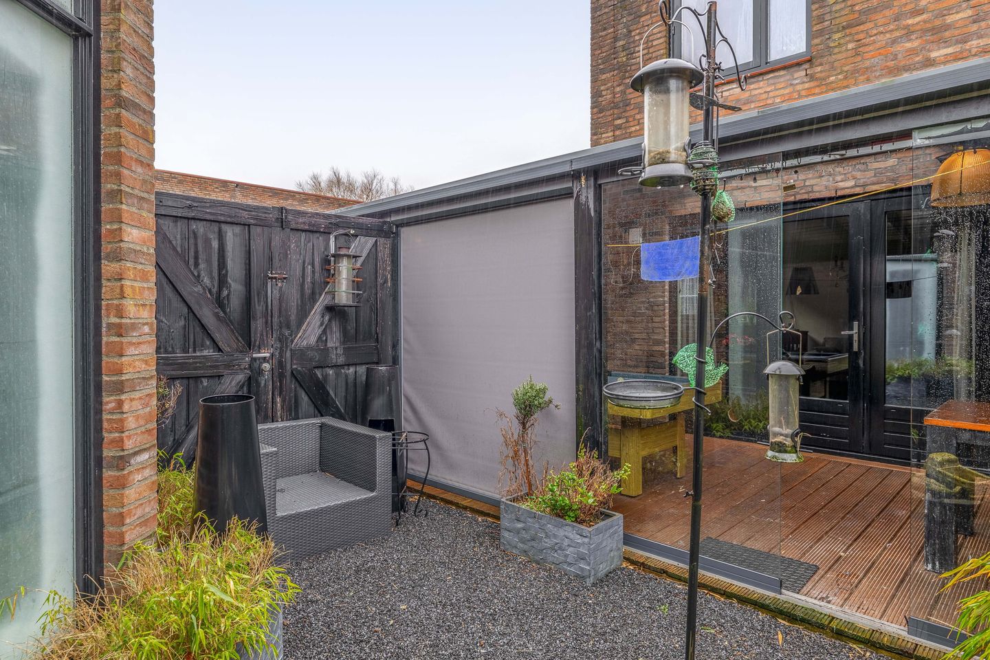 Foto 19 van Akkerdistel 1