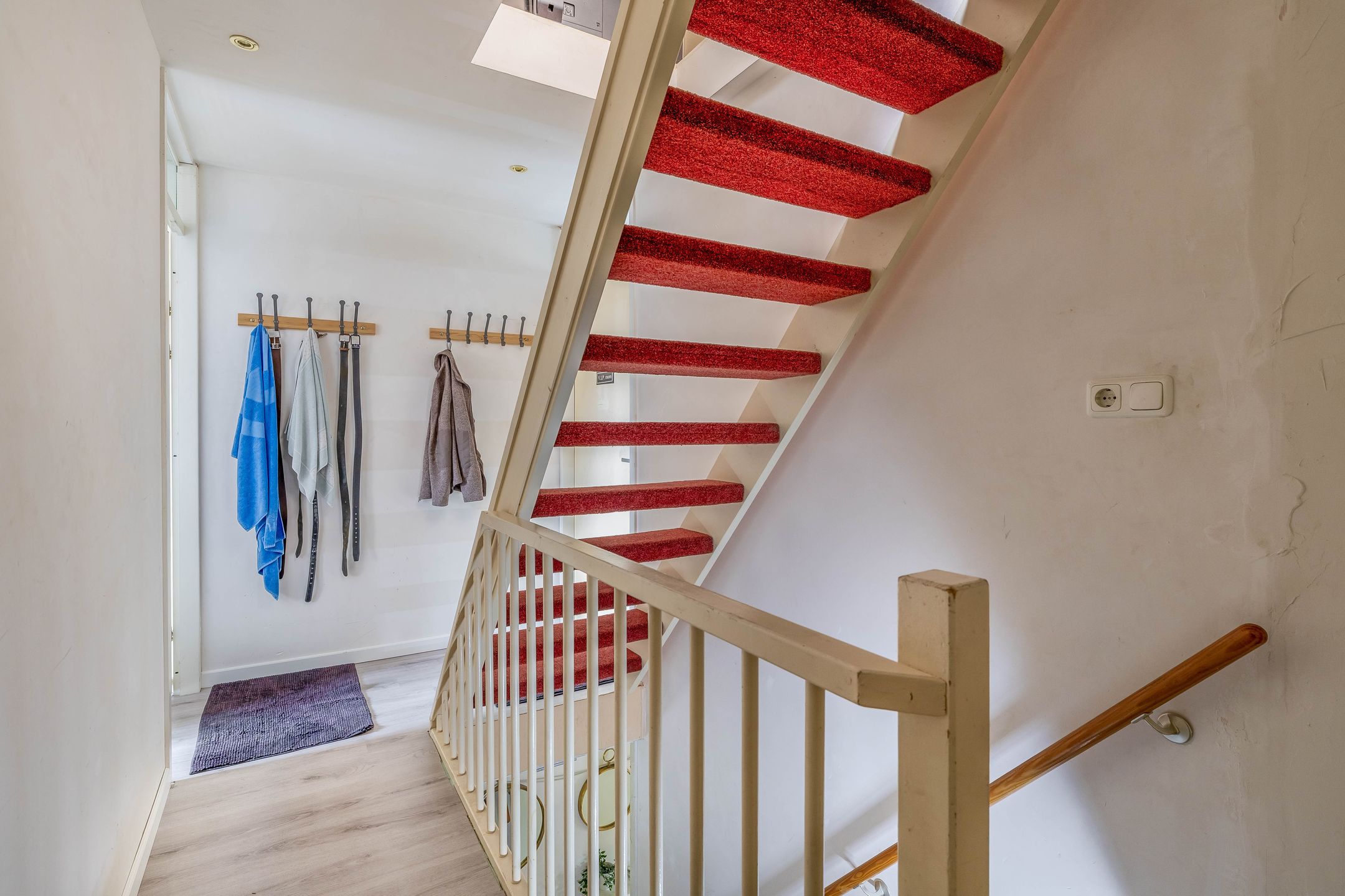 Foto 12 van Akkerdistel 1