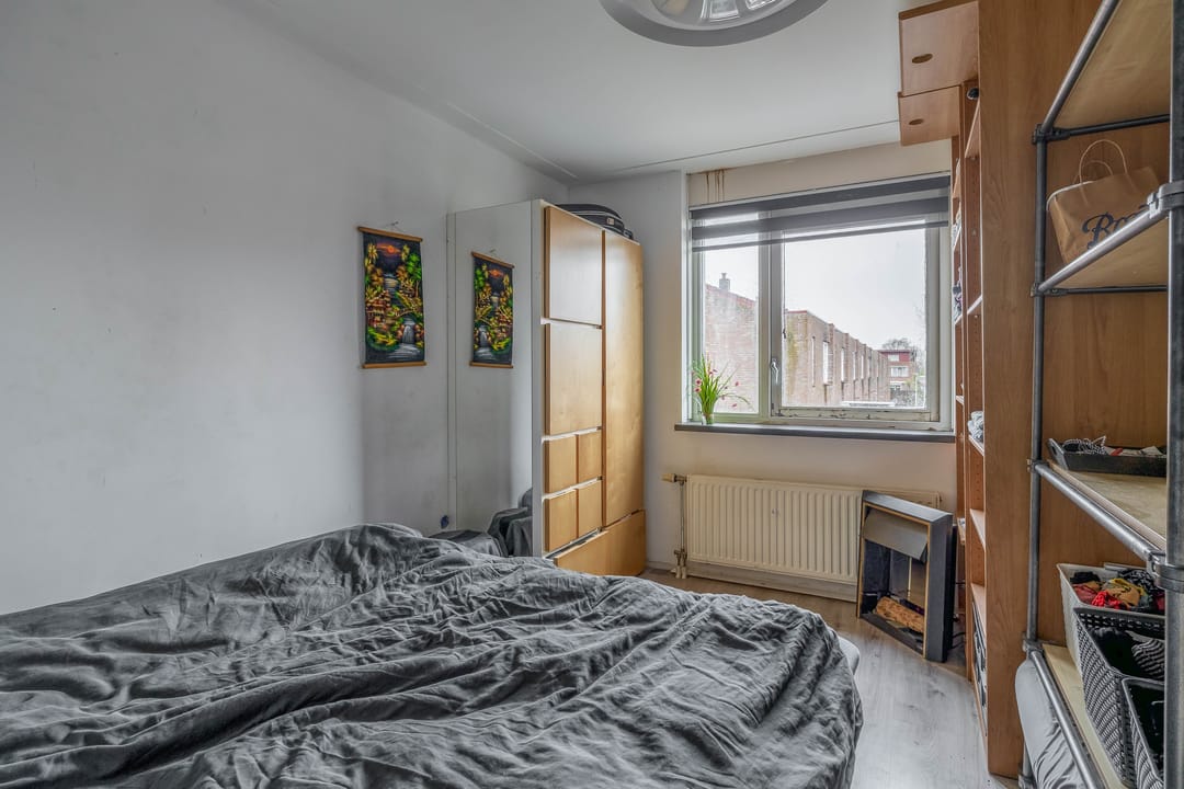 Foto 13 van Akkerdistel 1