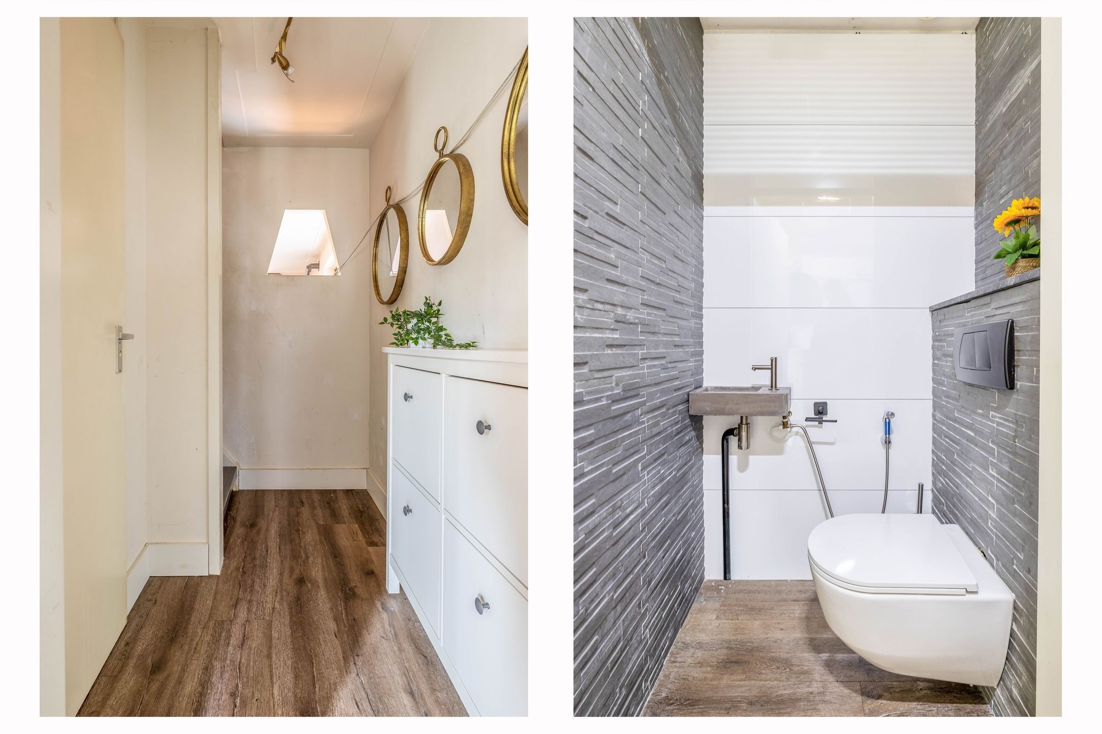 Foto 6 van Akkerdistel 1