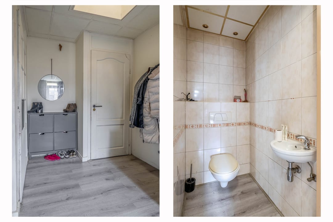 Foto 23 van Akkerdistel 1