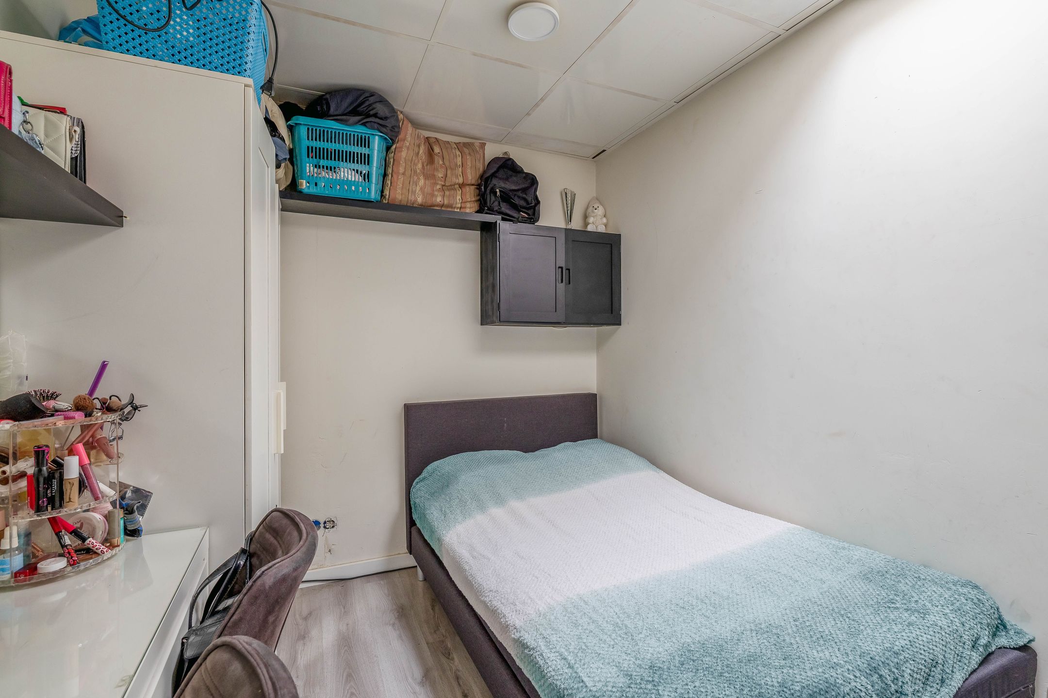 Foto 24 van Akkerdistel 1