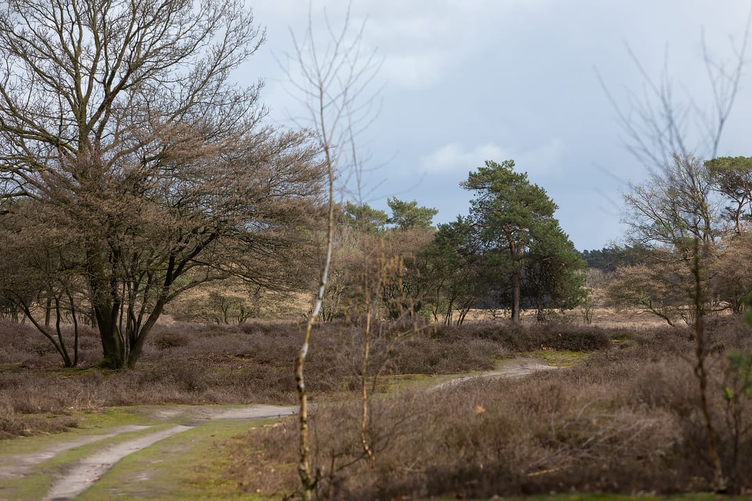 Foto 22 van Jacob van Campenlaan 347