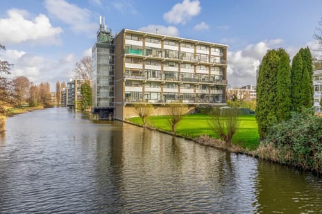 van der Waalsstraat thumbnail