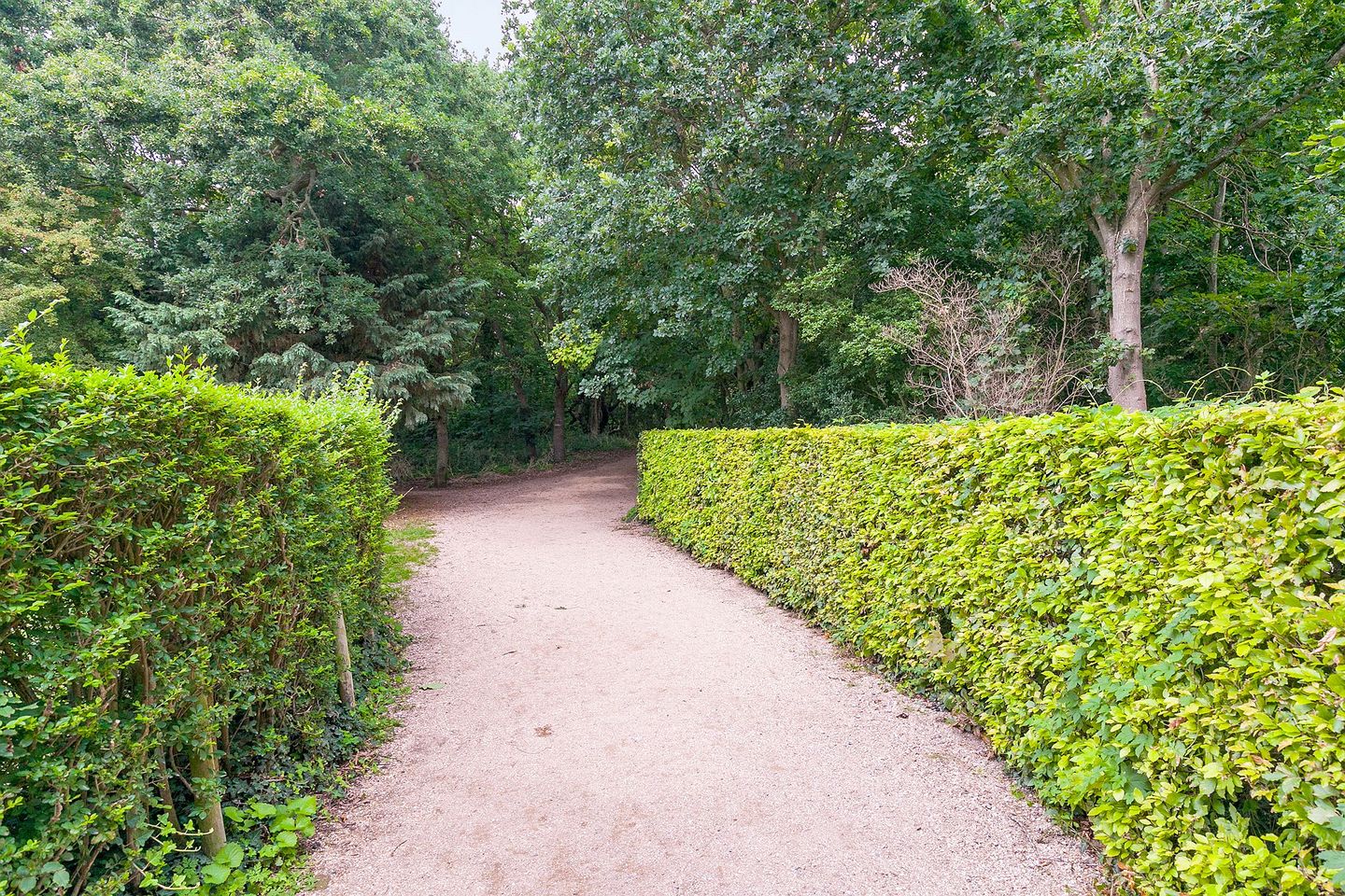 Foto 40 van Jhr. de Casembrootplein 23