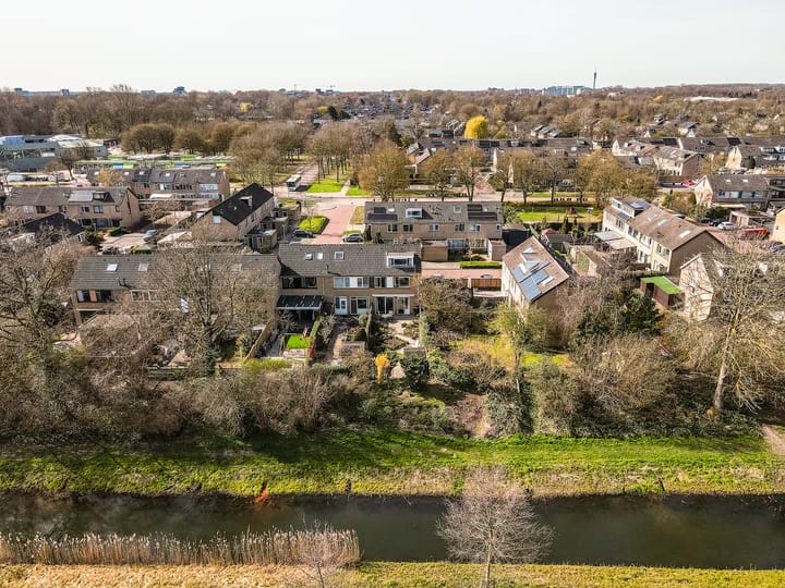 Wijngaard 162