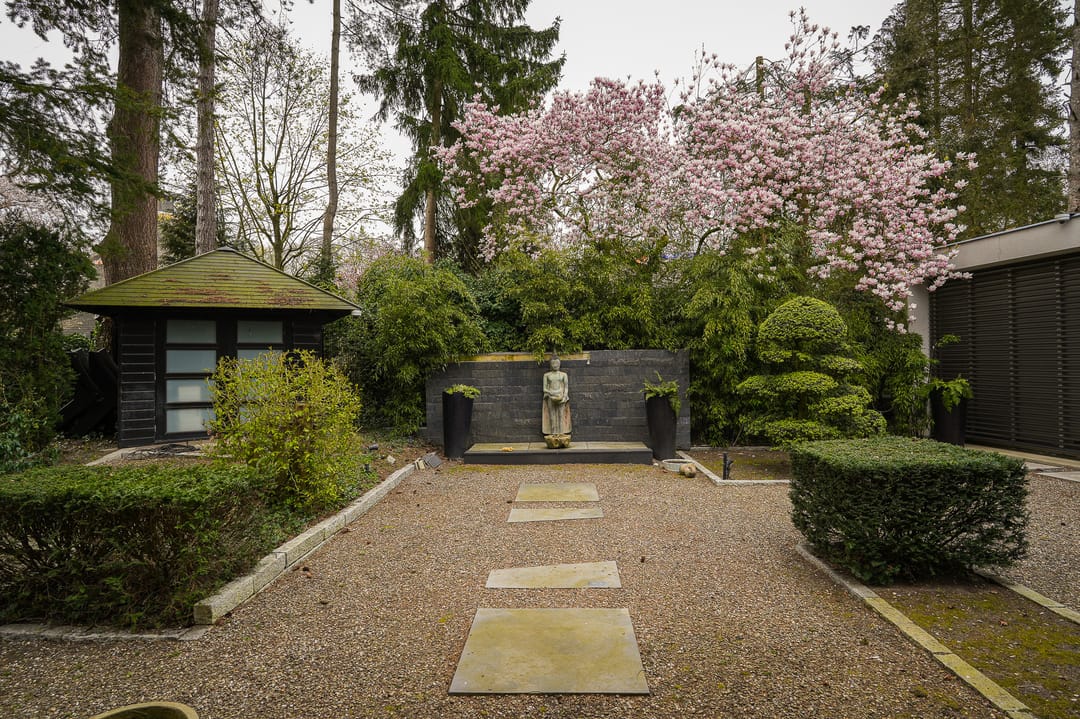 Foto 46 van Esdoornlaan 4