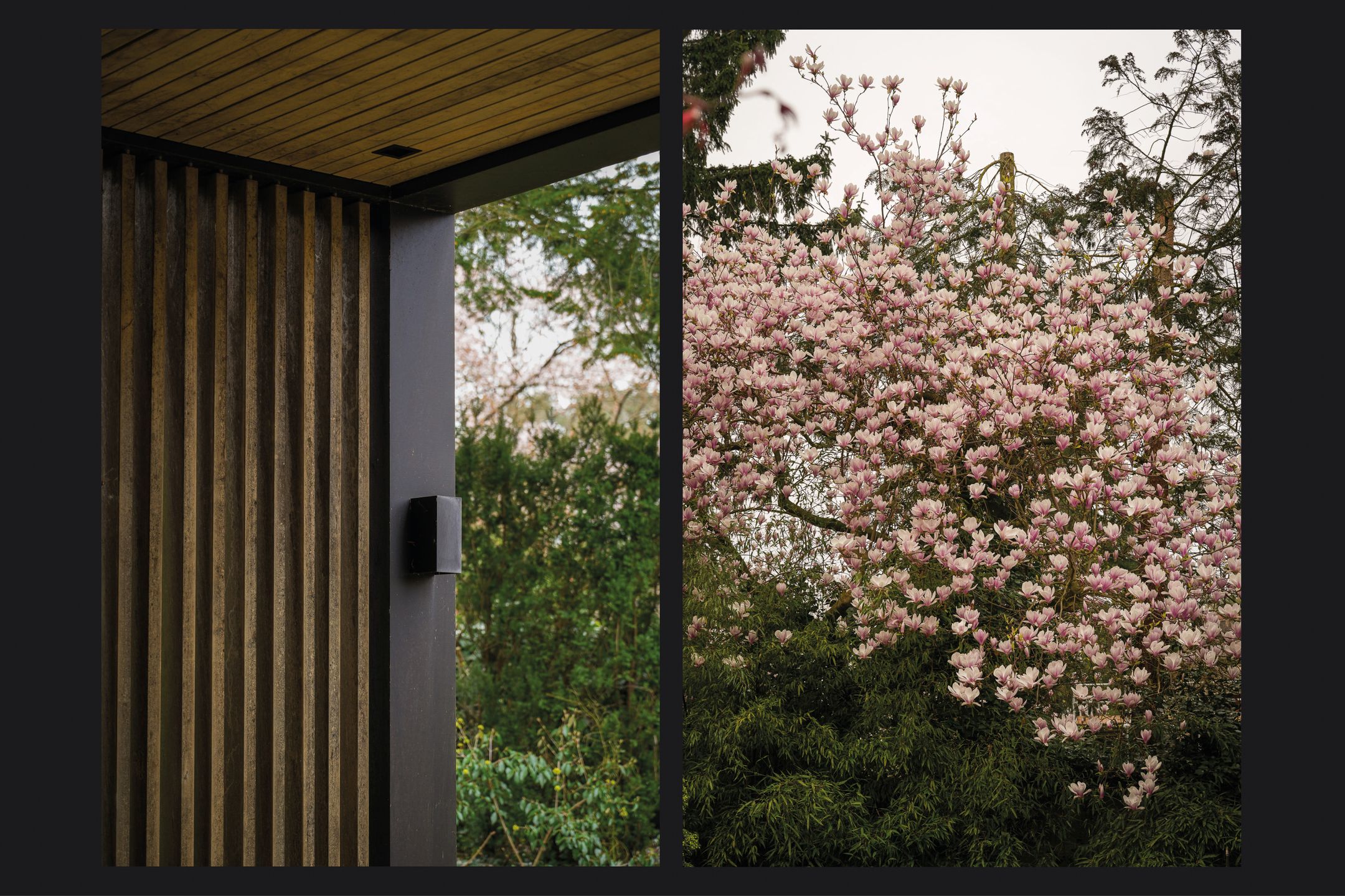 Foto 48 van Esdoornlaan 4