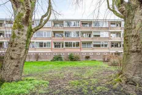 Tsjaikovskilaan 9 tertiary image