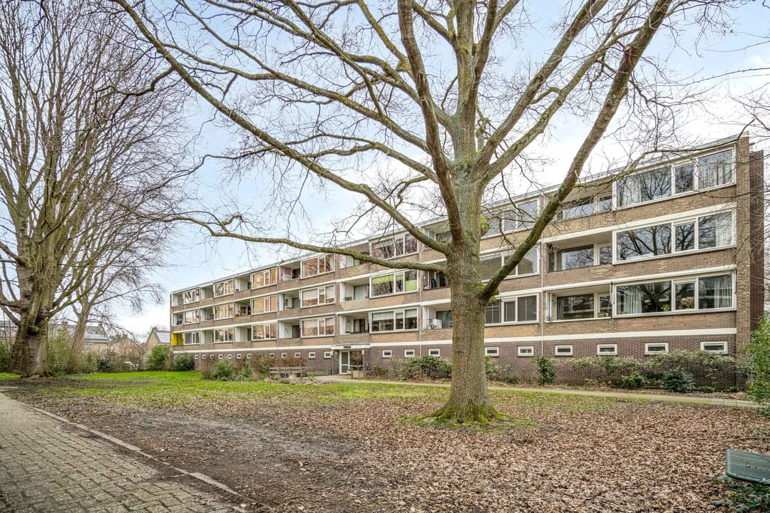 Photo 43 of Tsjaikovskilaan 9