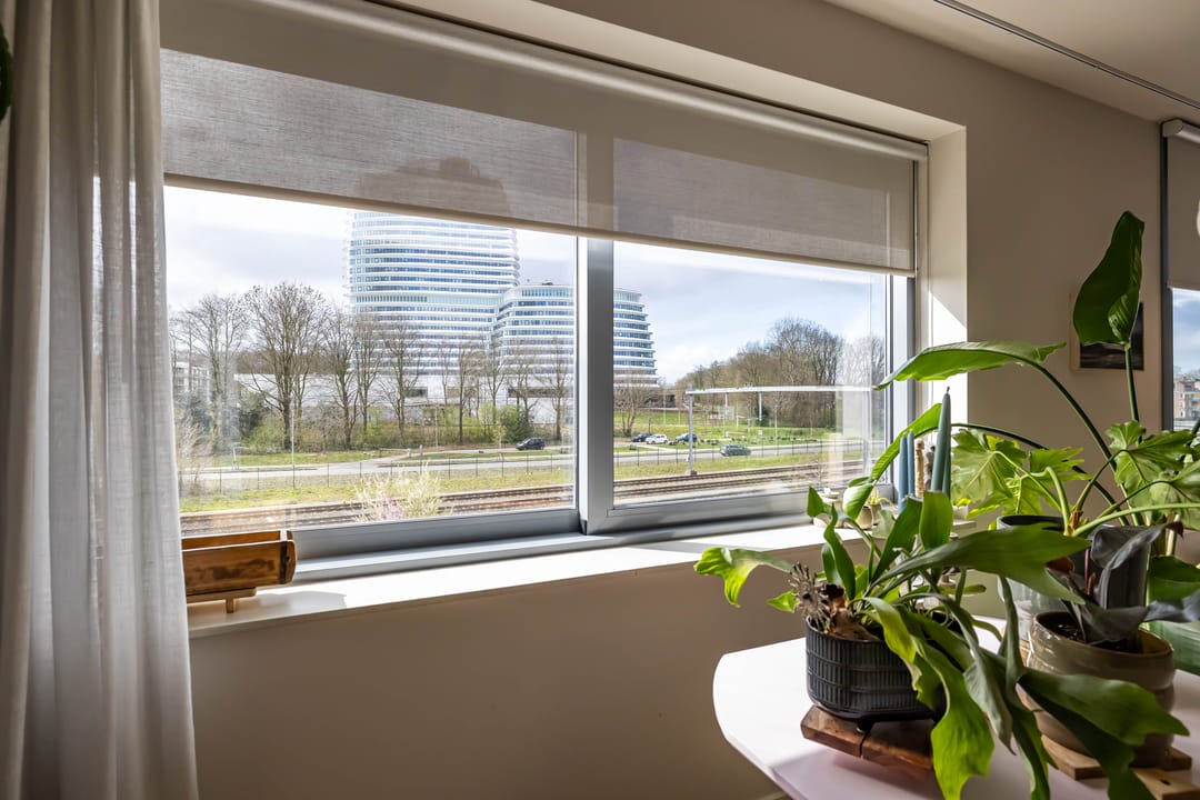 Foto 22 van Verlengde Lodewijkstraat 122