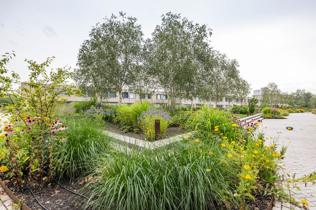 Foto 41 van Verlengde Lodewijkstraat 122