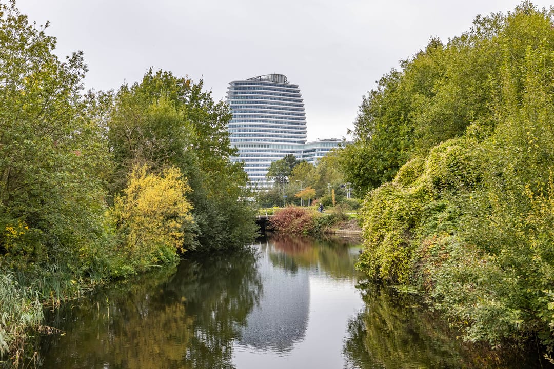 Foto 43 van Verlengde Lodewijkstraat 122