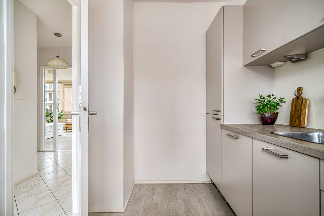 Photo 31 of Tsjaikovskilaan 9