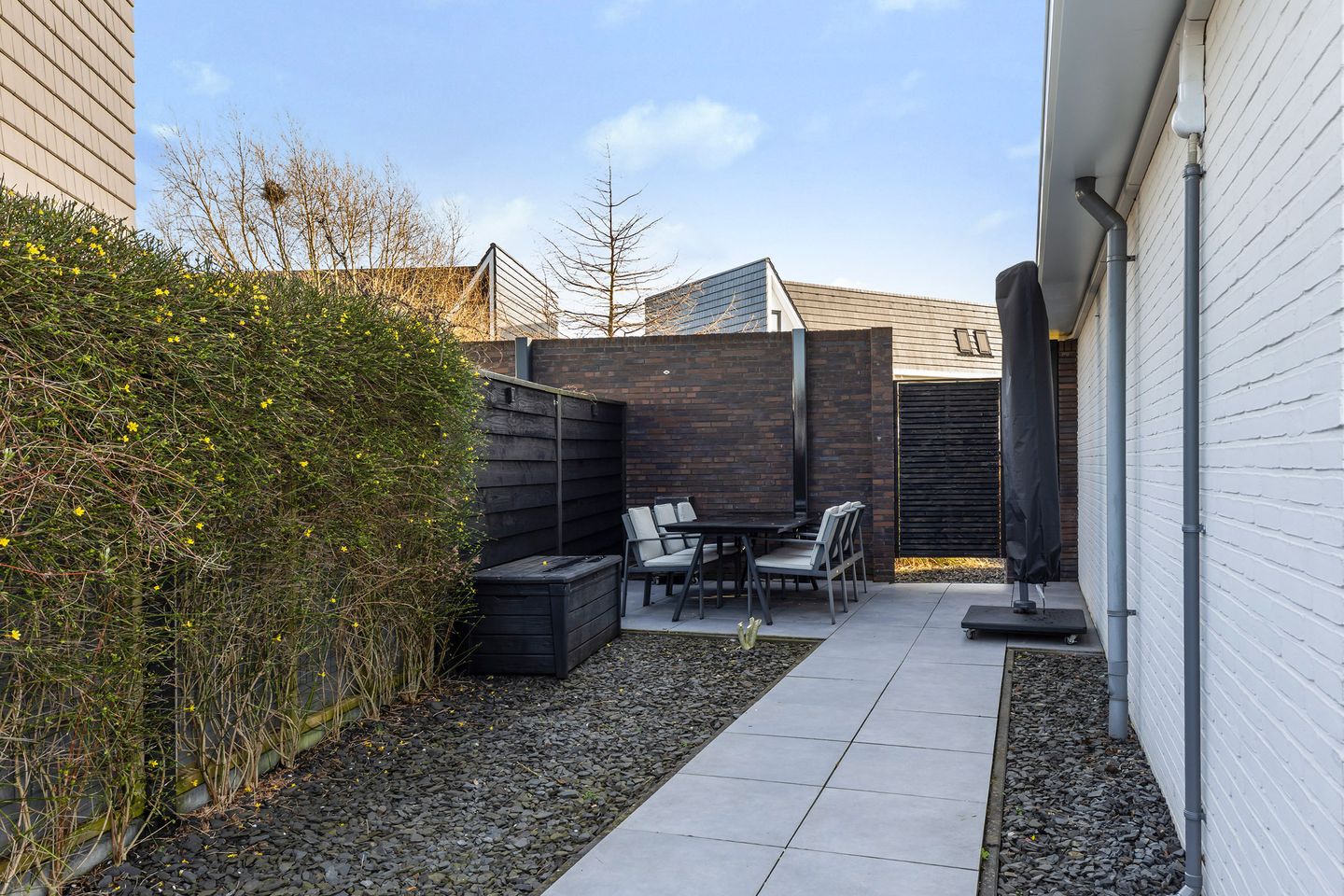 Foto 20 van Heideblauwtje 12