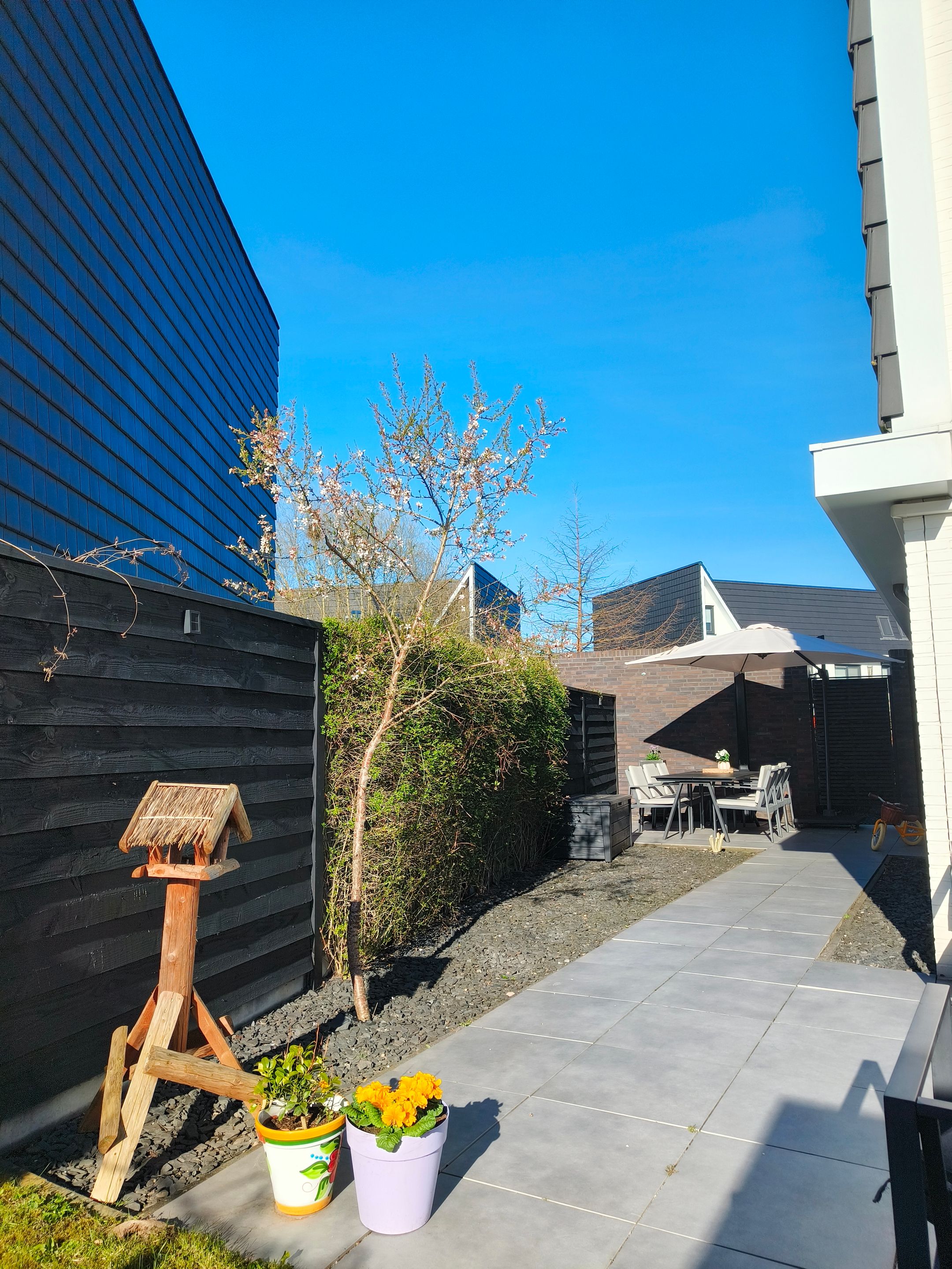 Foto 21 van Heideblauwtje 12