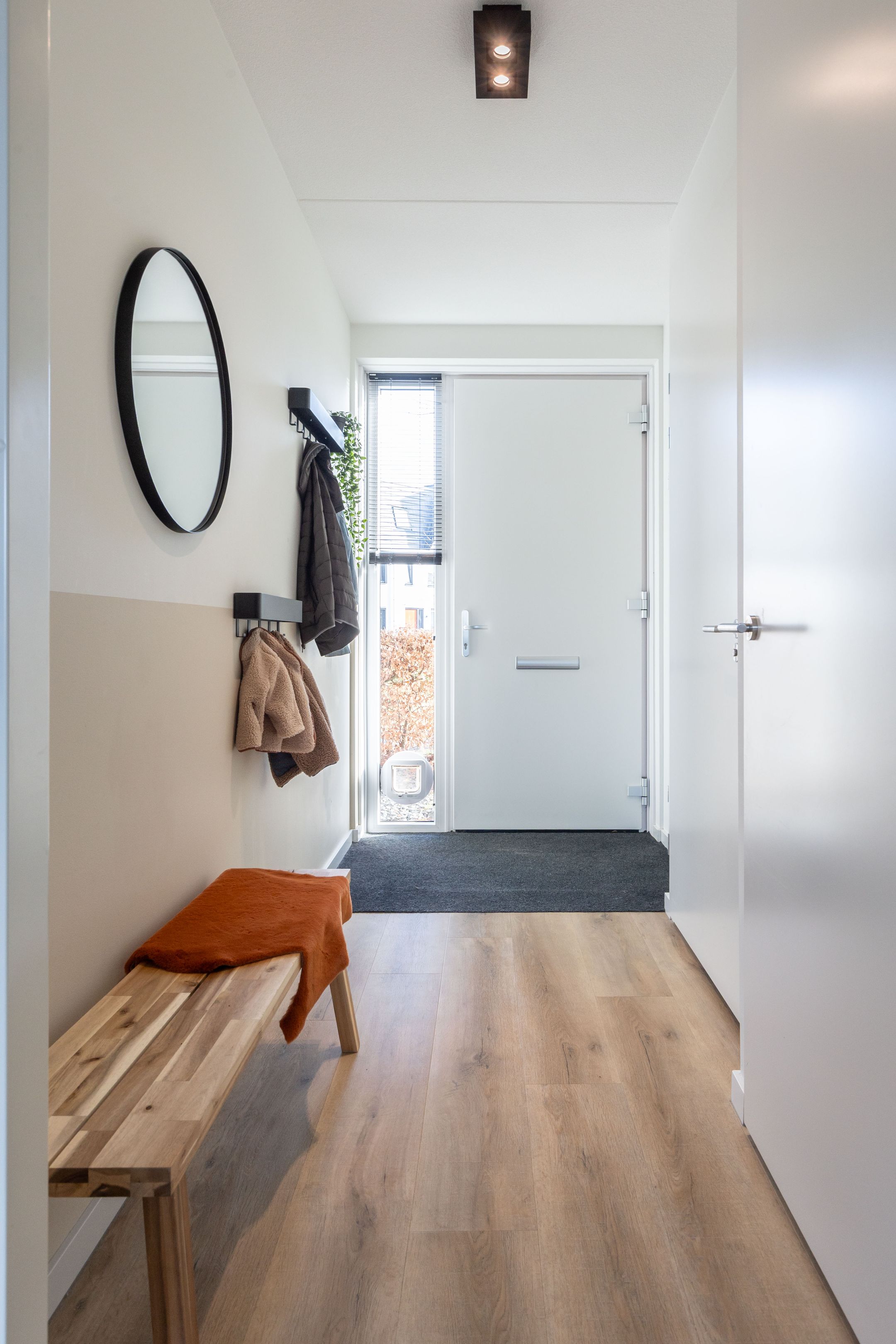 Foto 24 van Heideblauwtje 12