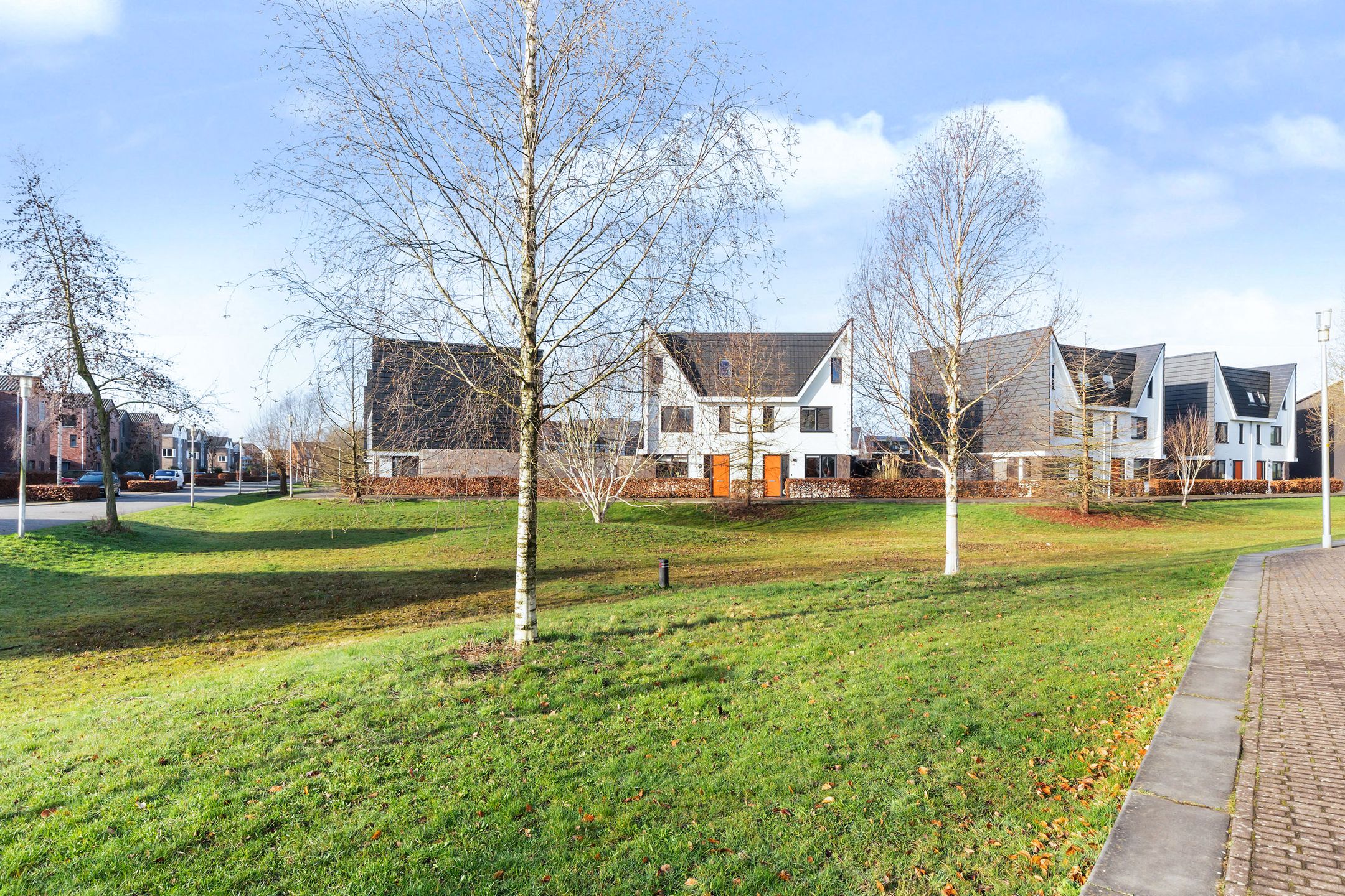 Foto 39 van Heideblauwtje 12