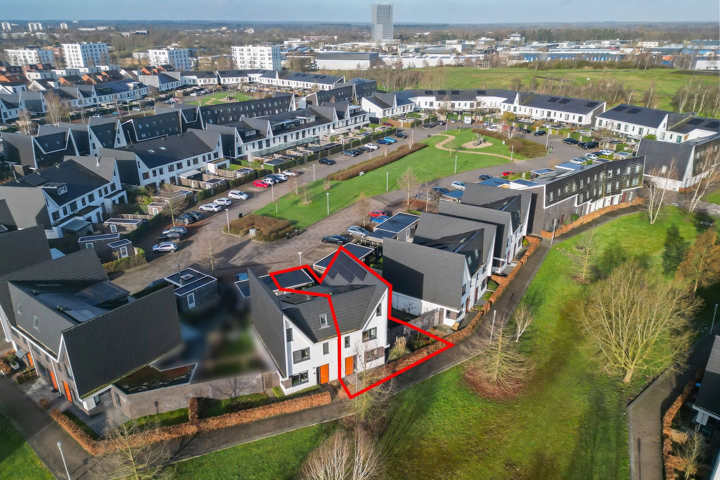 Foto 40 van Heideblauwtje 12