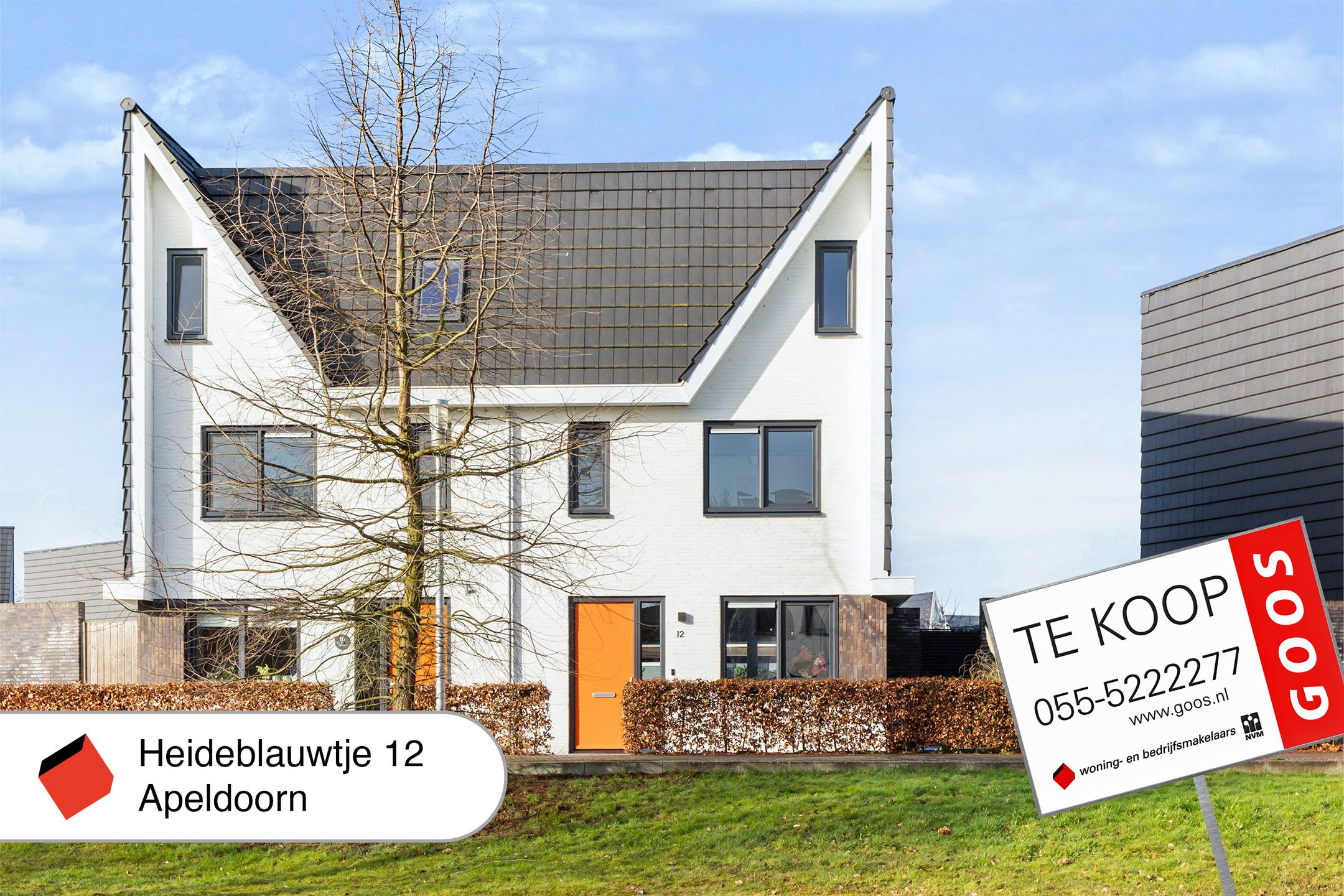 Foto 42 van Heideblauwtje 12