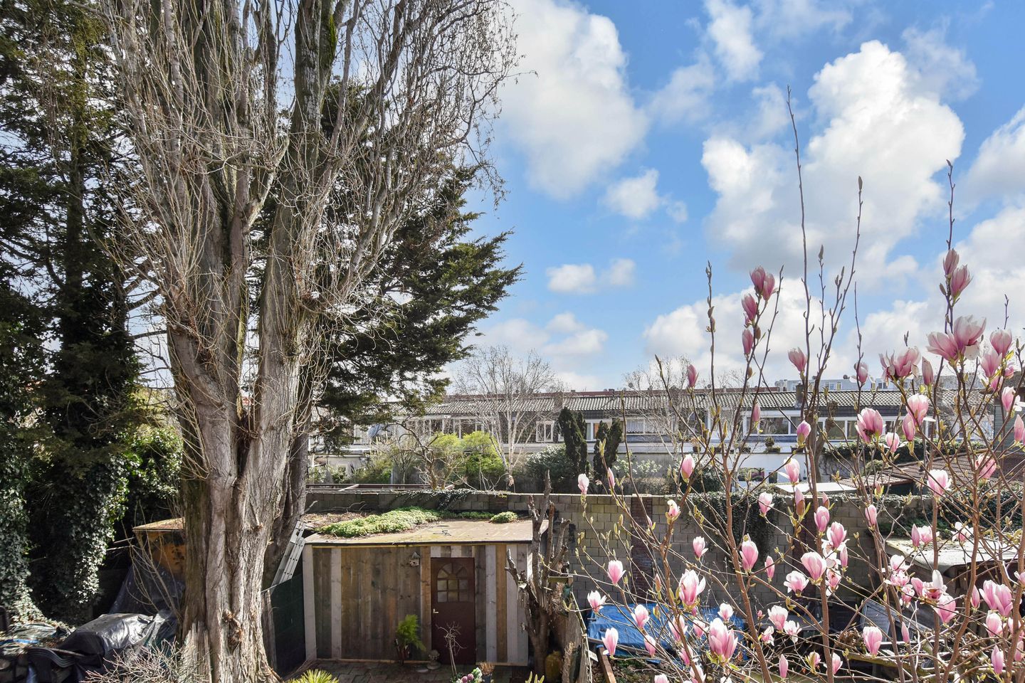 Foto 20 van Schapenlaan 66