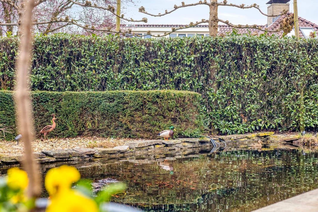 Foto 61 van Godfried Gerlachstraat 2