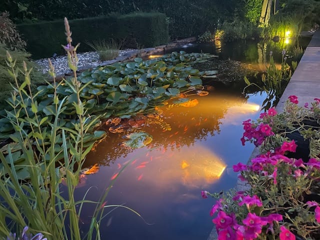 Foto 88 van Godfried Gerlachstraat 2