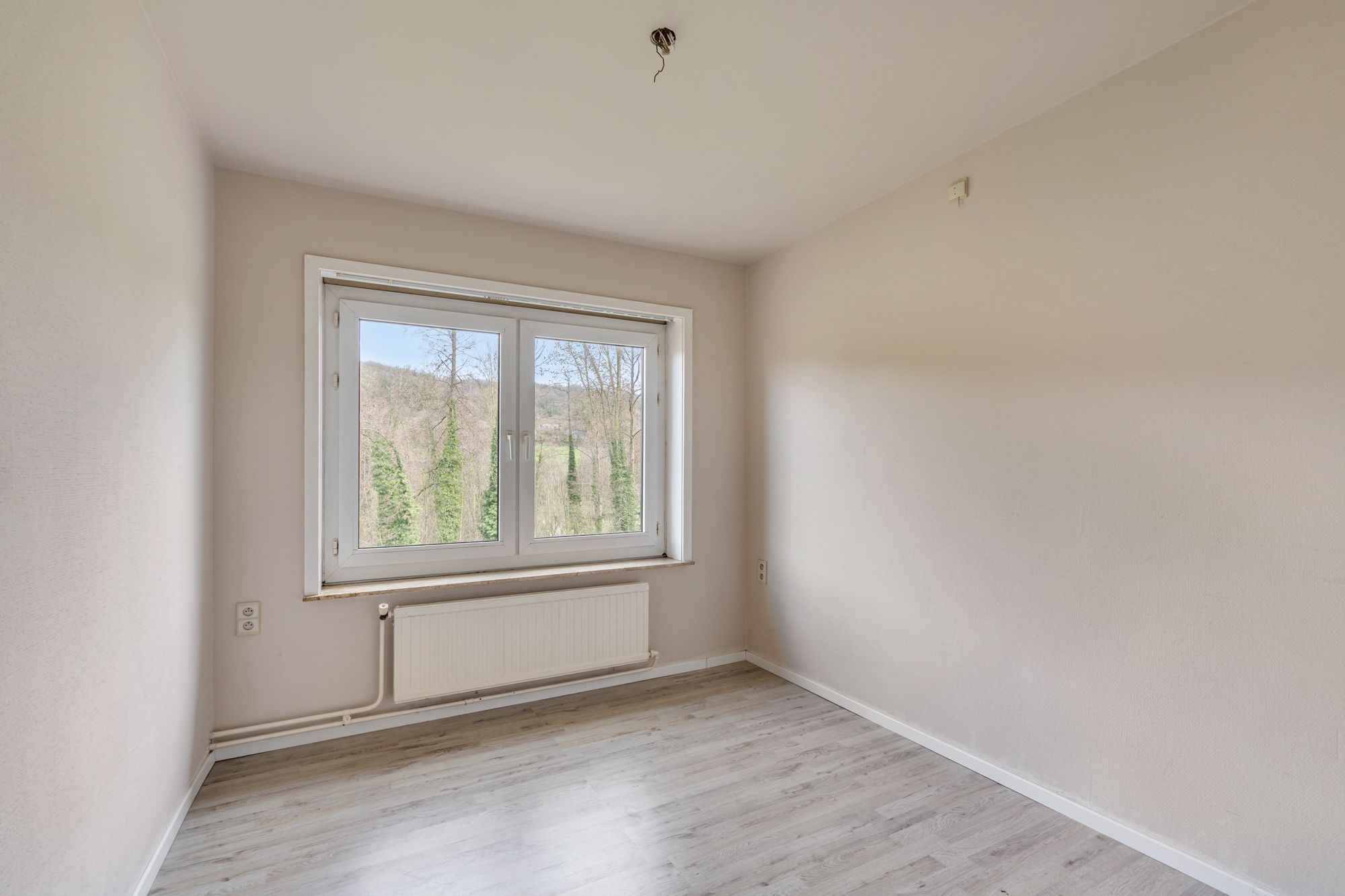 Photo 12 of Einde 88