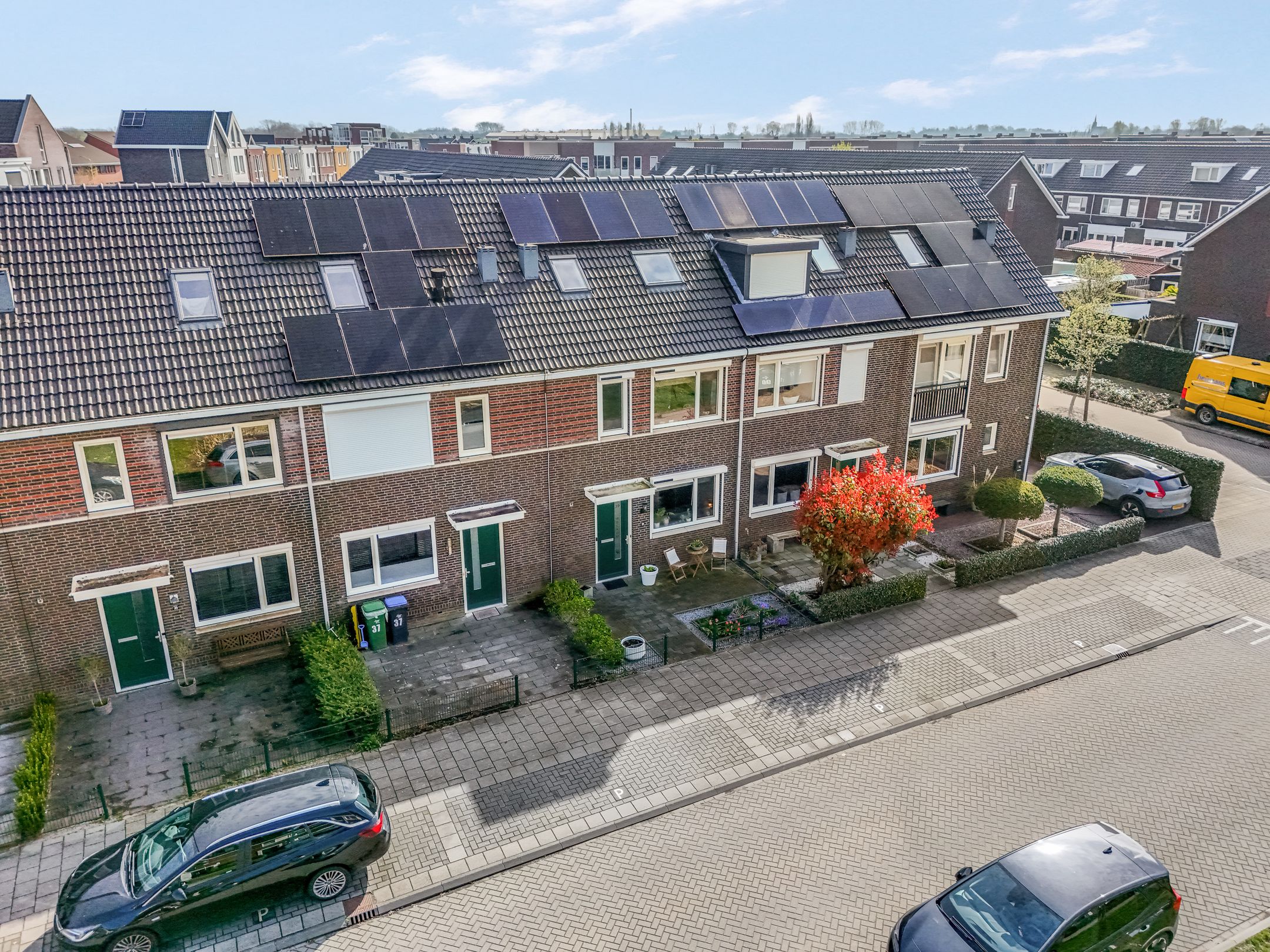 Foto 6 van Aardbeivlinder 39