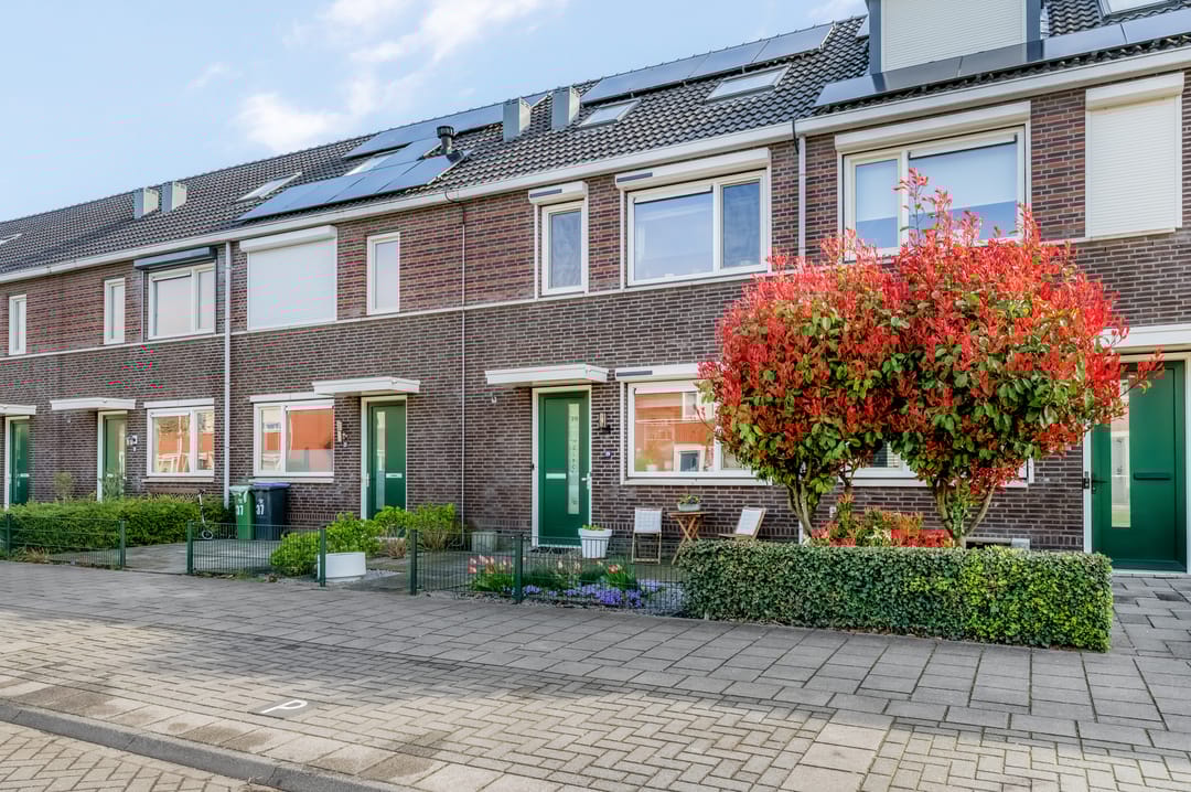 Foto 41 van Aardbeivlinder 39