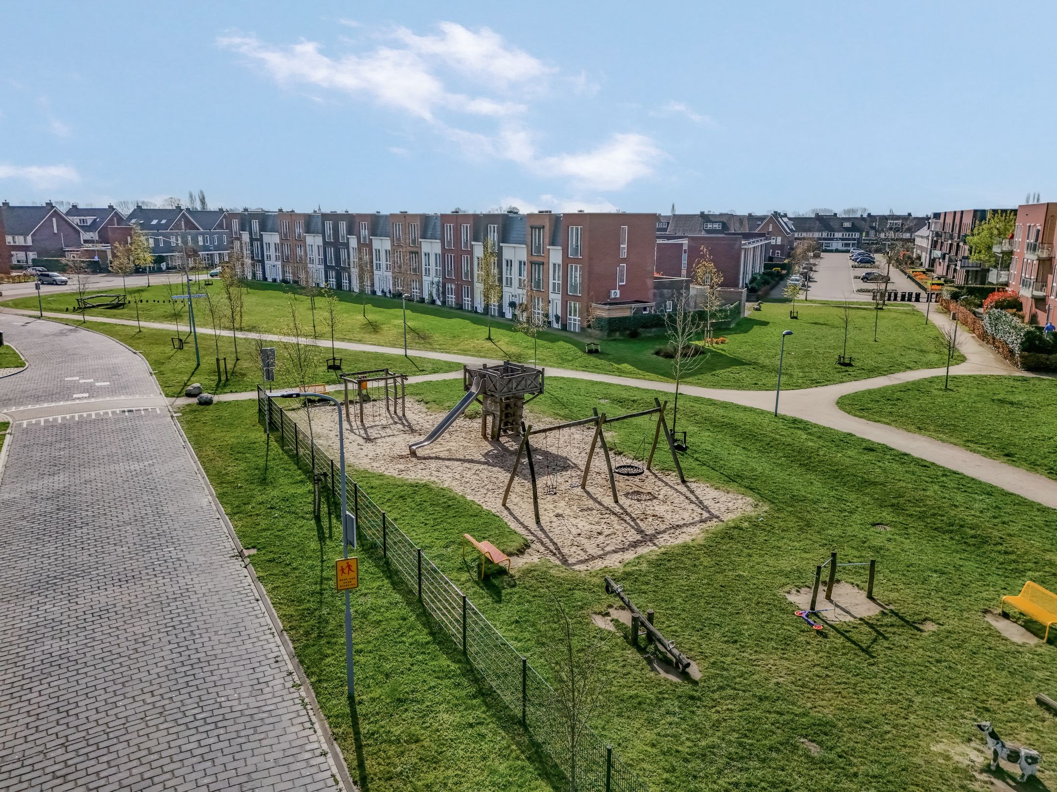 Foto 42 van Aardbeivlinder 39