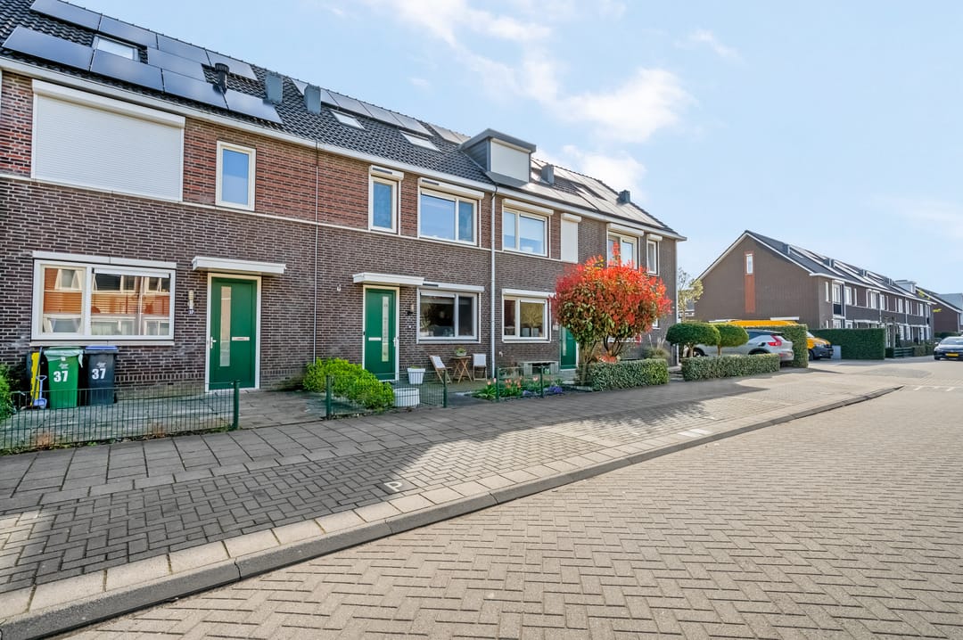 Foto 43 van Aardbeivlinder 39