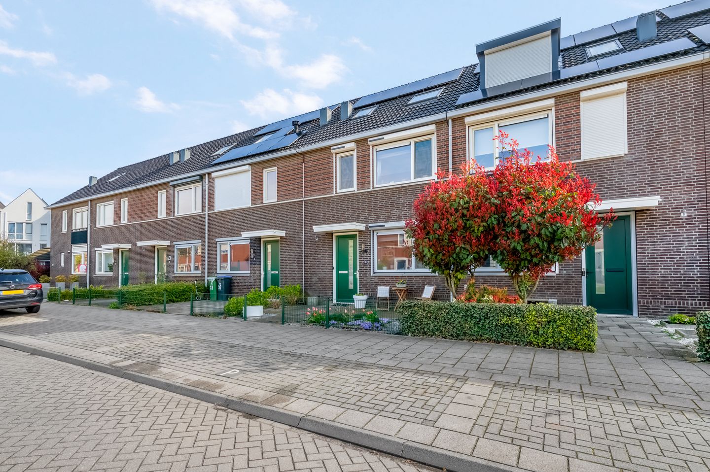 Foto 44 van Aardbeivlinder 39