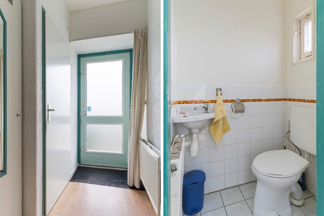 Photo 7 of Sixmastins 4