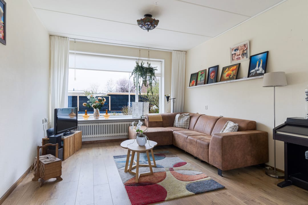 Photo 8 of Sixmastins 4