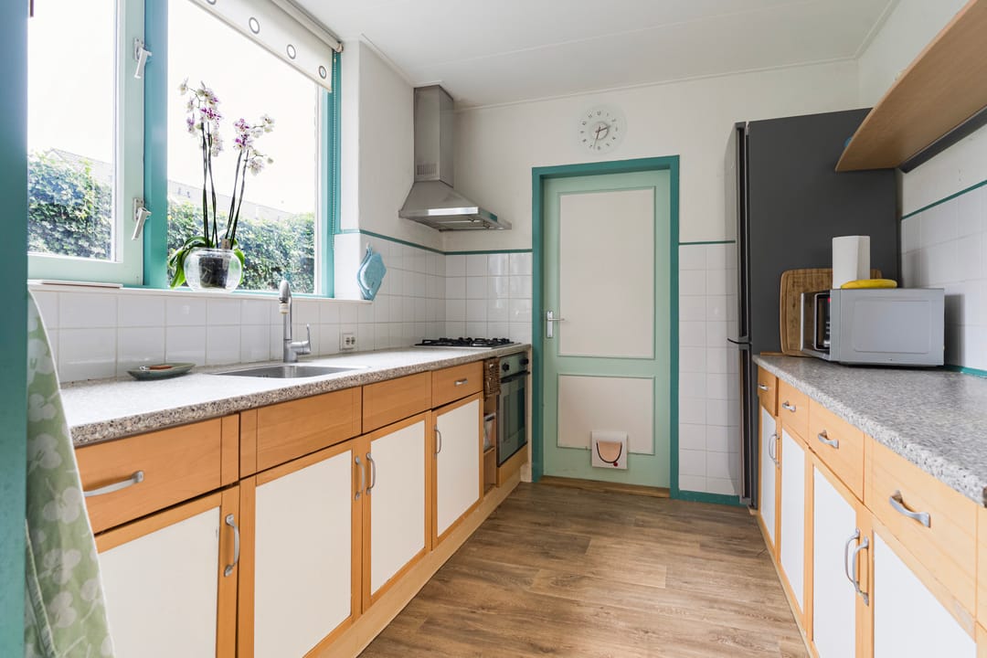 Photo 11 of Sixmastins 4