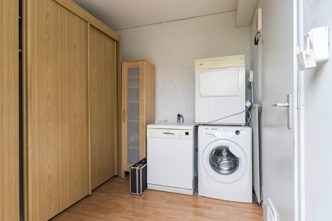 Photo 13 of Sixmastins 4