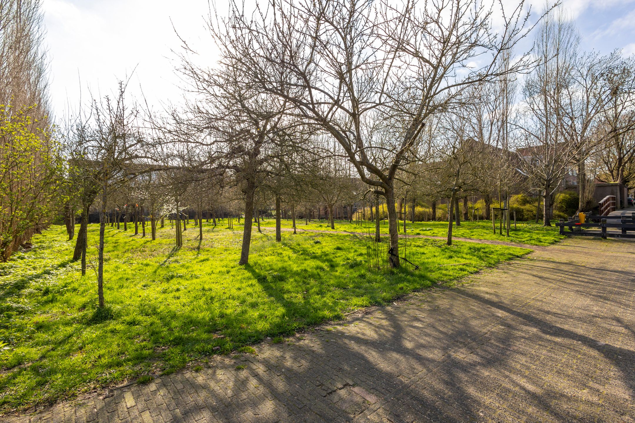 Foto 21 van Smalweer 25